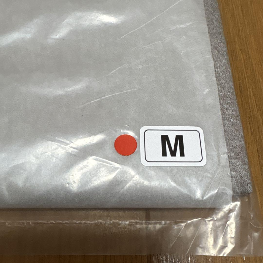 飛騨高山ウルトラマラソン2025Tシャツ　レディースМサイズ