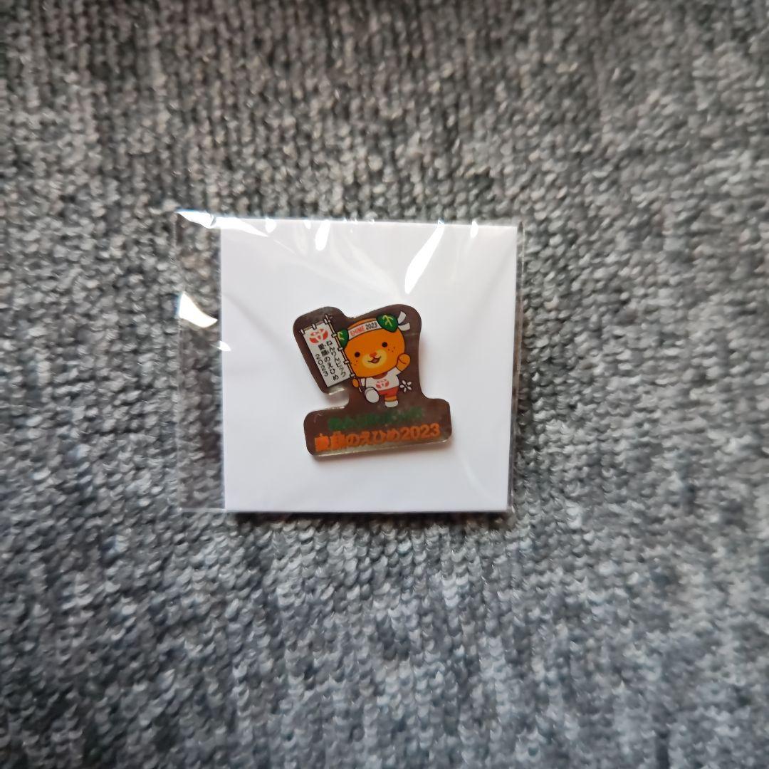 2023年ねんりんピック愛媛　ピンバッジ　80個セット