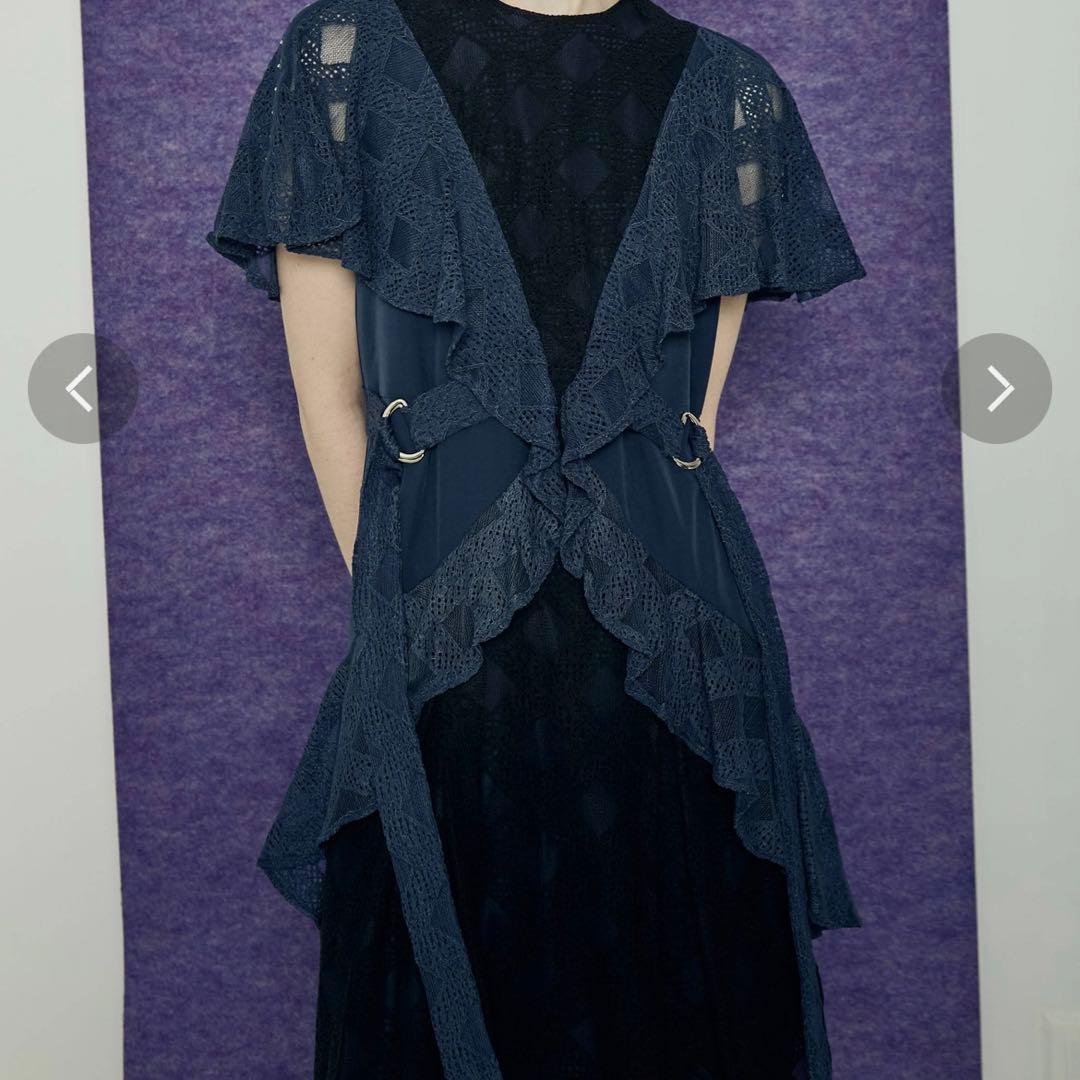 ナチュラ 早い者勝ち 新品未使用 パメオポーズ PAMEO POSE Veil Dress