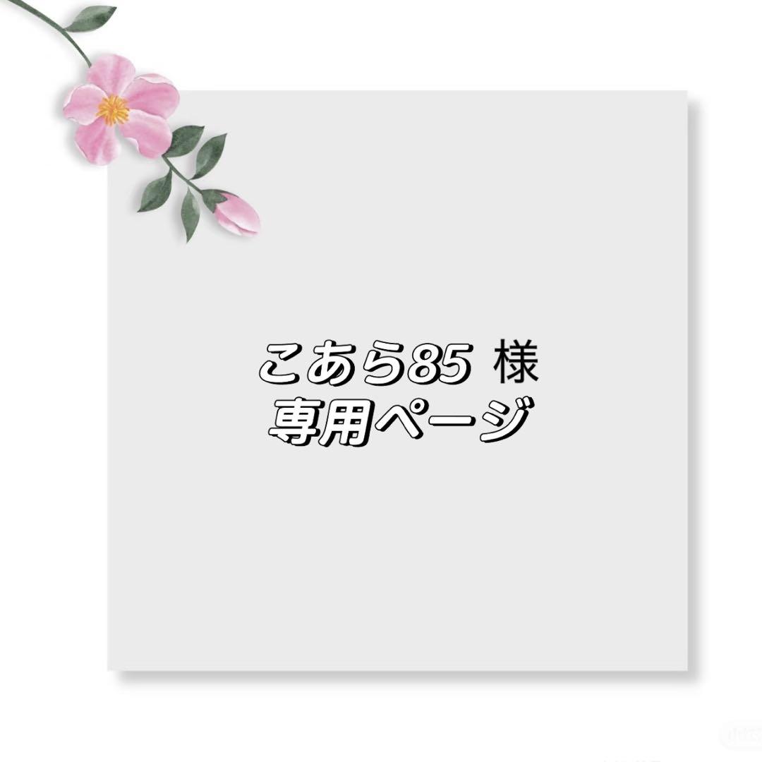 こあら85さま専用ページ