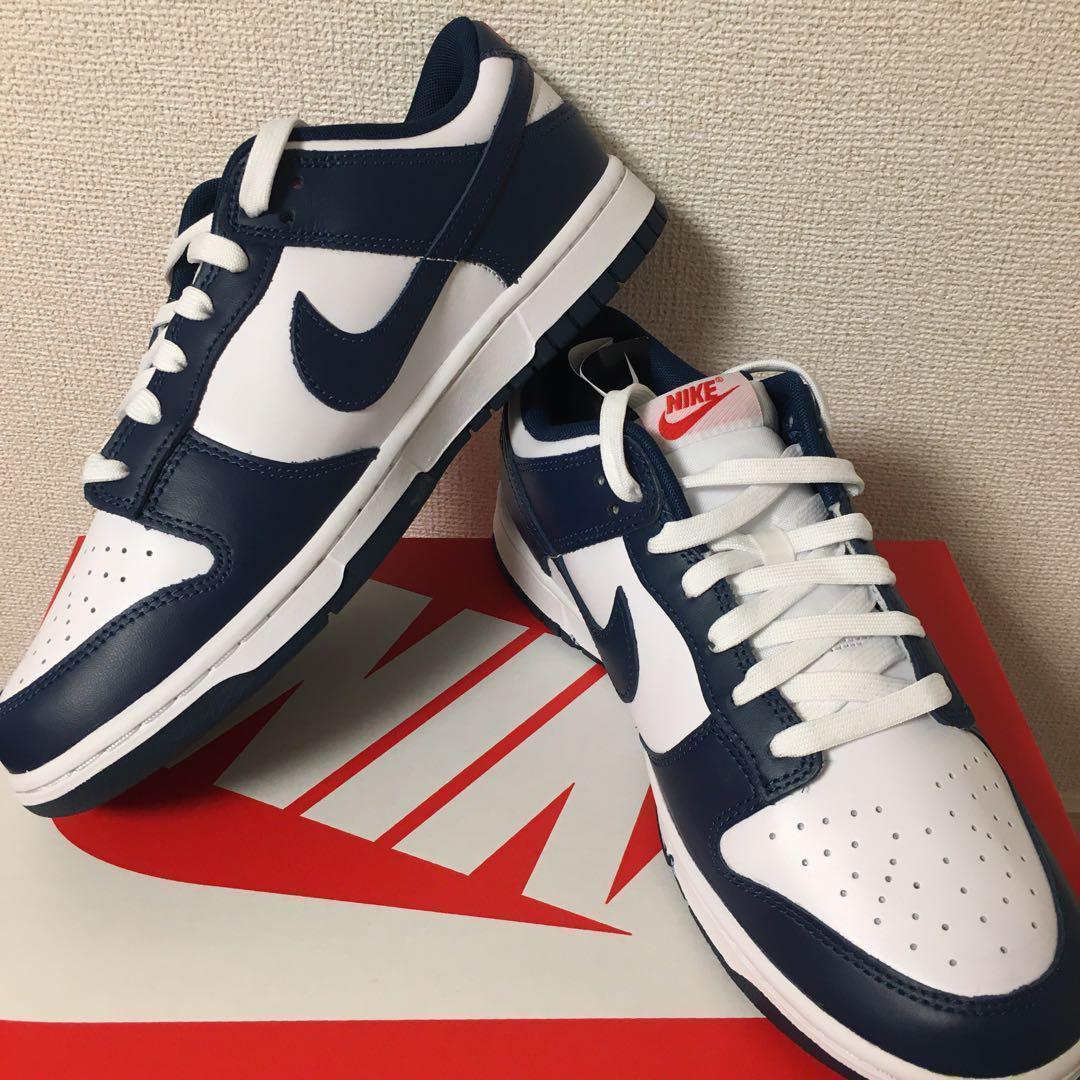 ナイキ ダンク ロー レトロ バレリアンブルー 28cm DD1391-400