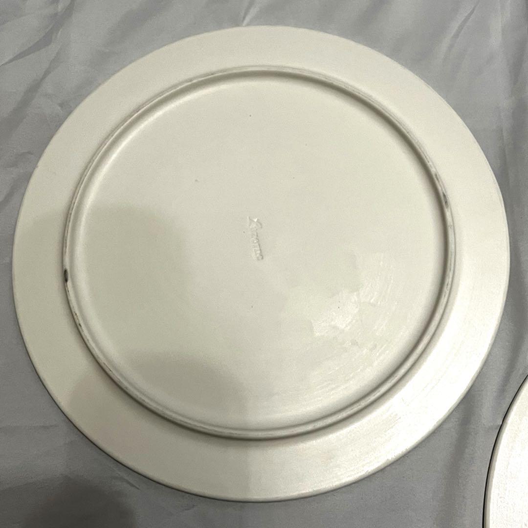 食器 お皿 ルザーン コルレオニス シルバー 2枚セット プレート 食器 食器 お皿 ルザーン コルレオニス シルバー 2枚セット プレート