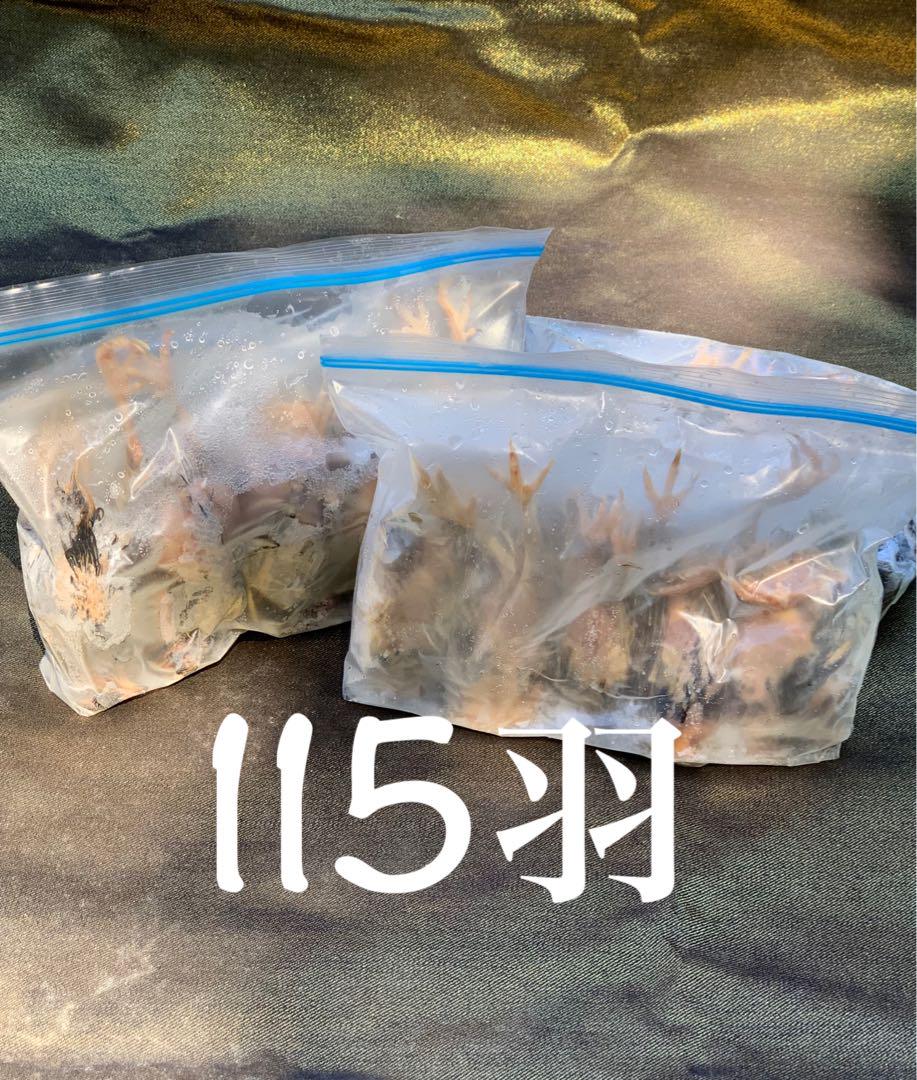 冷凍うずら（115羽）【送料込】