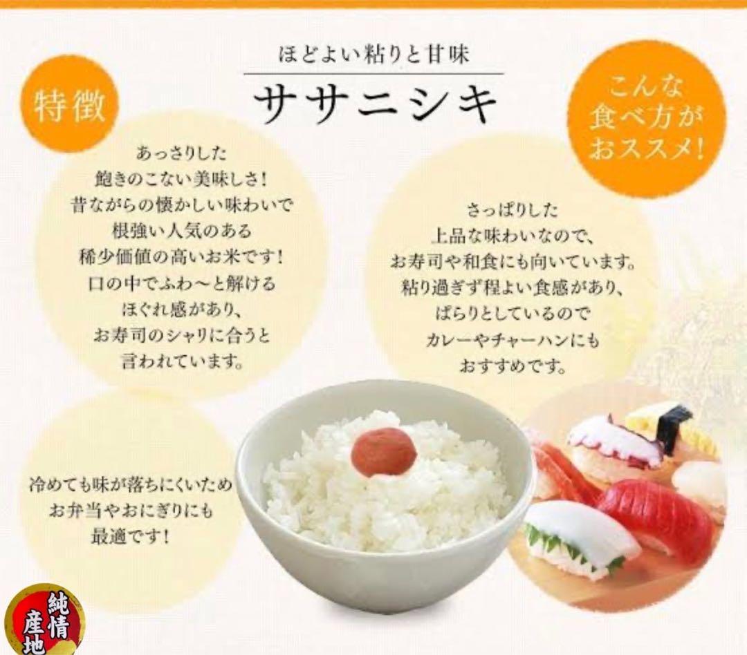 お米　精米【金札米ササニシキ10kg】 希少なお米♪身体に優しい！