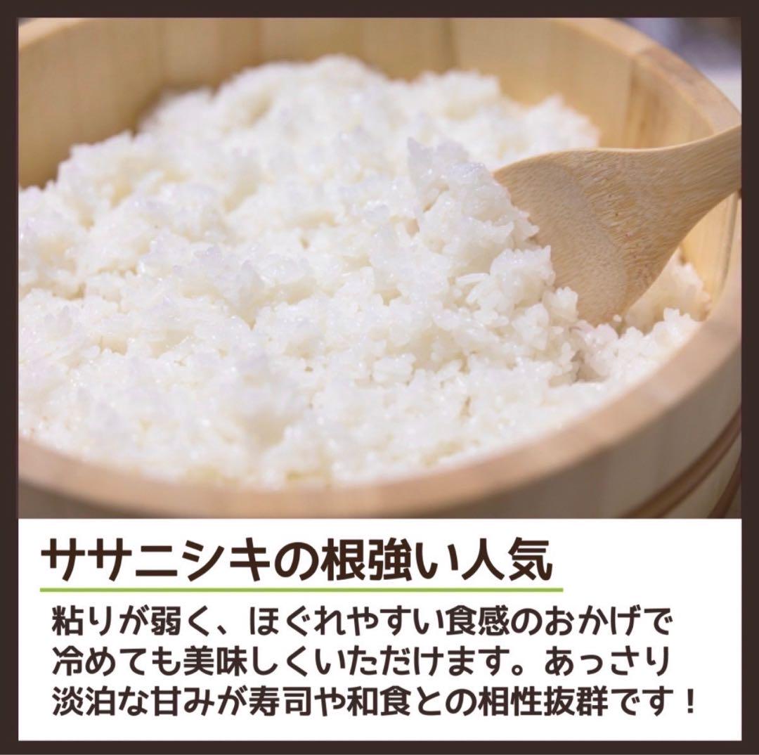 お米　精米【金札米ササニシキ10kg】 希少なお米♪身体に優しい！