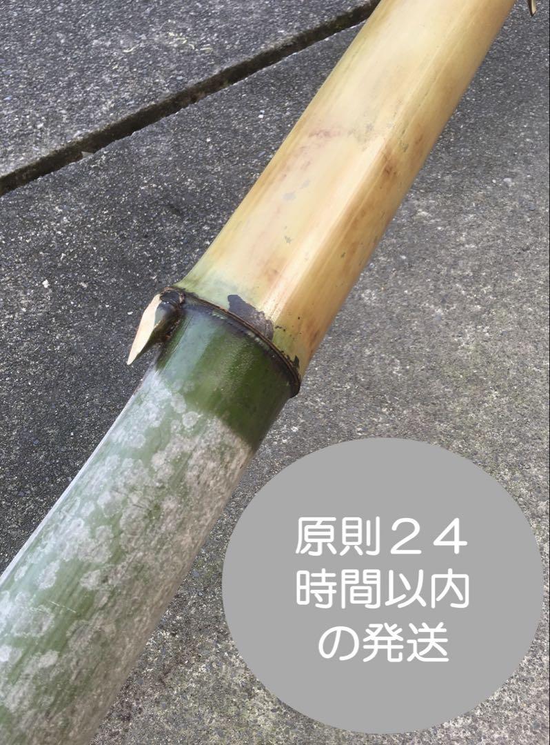 超激安 24時間以内発送 油抜き天然竹セット〜総長 - 涼風の流しそうめん バーベキュー・調理用品
