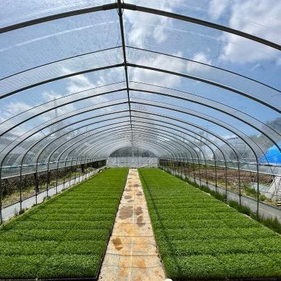 減農薬少量生産コシヒカリ 栃木県産 精米24kg (玄米26kg相当) R6年産