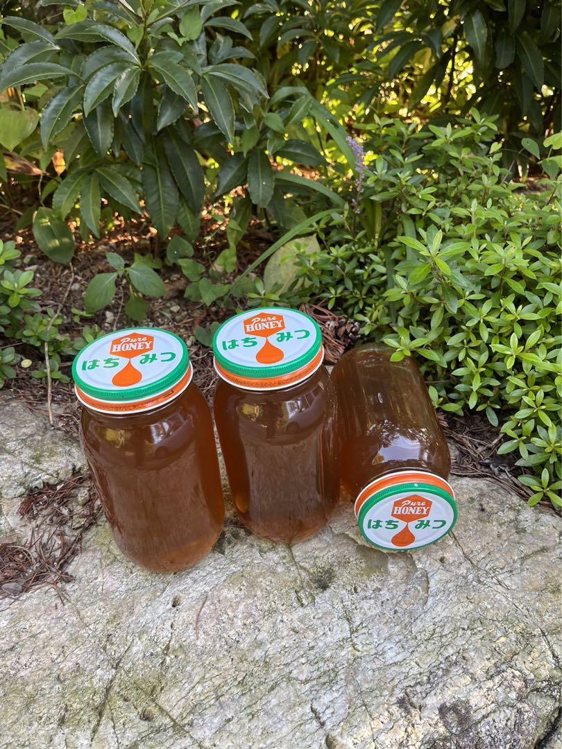 日本蜜蜂ハチミツ/百花蜜/1kg×2本セット/値下げ中