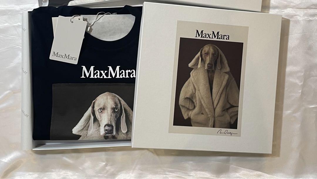 【新品未着用】Max Mara コットン Tシャツ VALIDO サイズXS