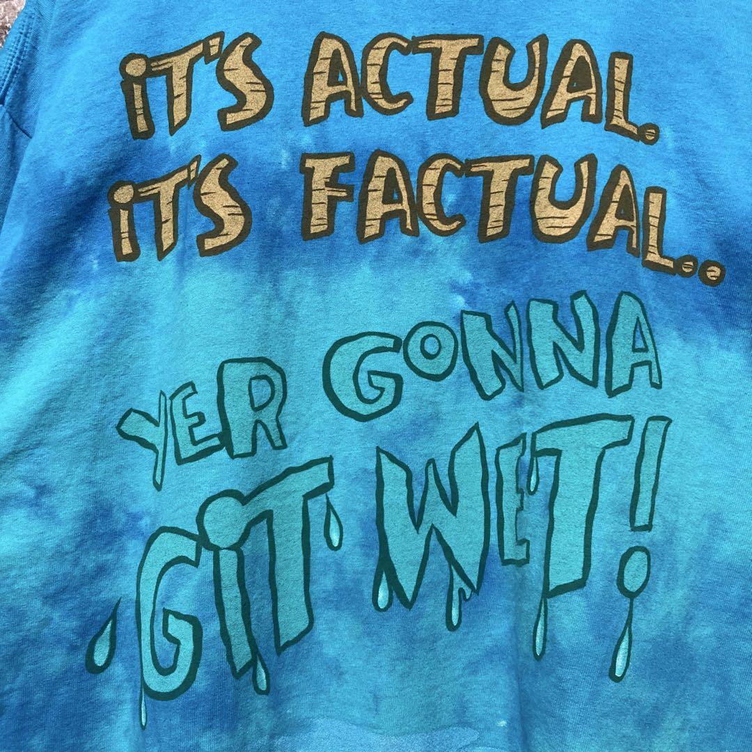 Disneyスプラッシュマウンテン Tシャツ ミッキー ディズニー