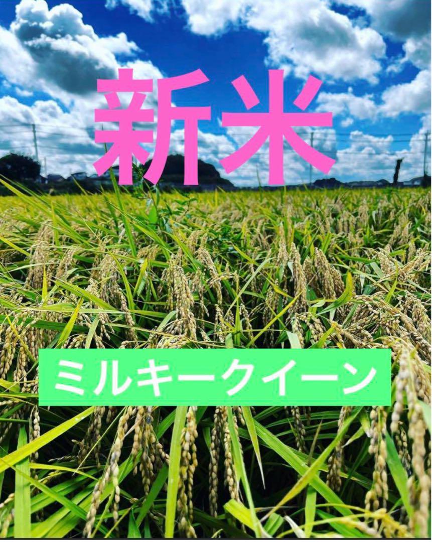 茨城県産 新米/ミルキークイーン 玄米/20キロ ※普通精米無料