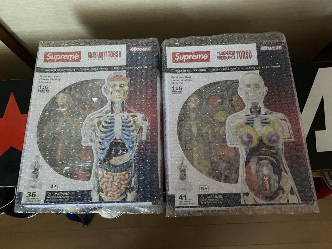 supreme Anatomy Model 人体模型 男女2体セット