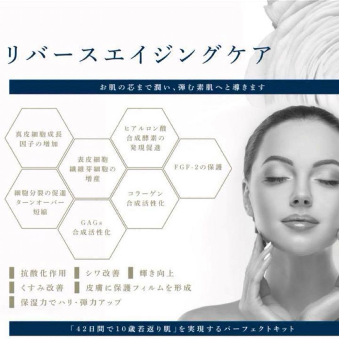 高保湿 セラミド 美容液 リジェナ セラム クリーム ヒト幹細胞 純国産原料