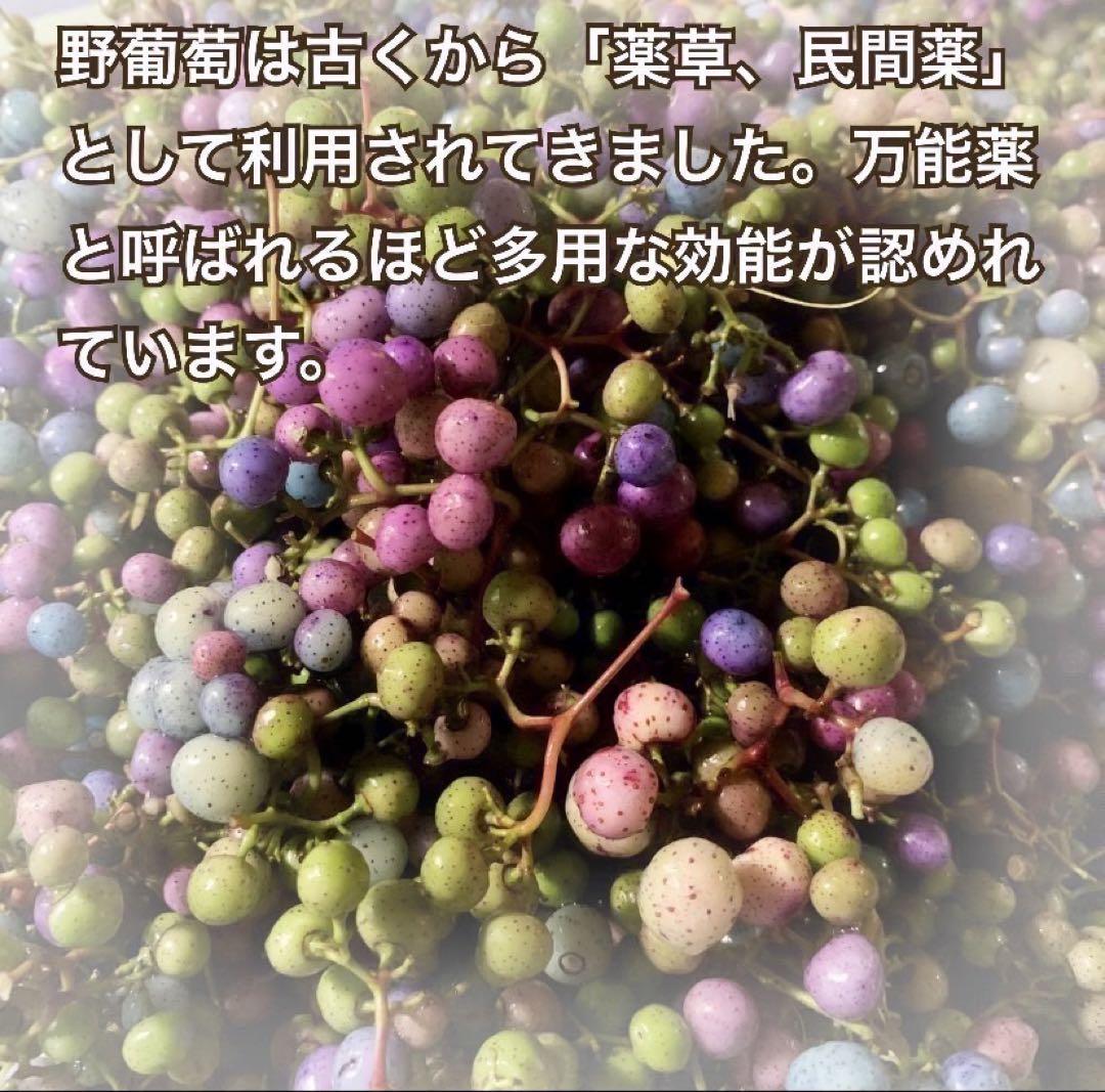 1年分3kg うまぶどう