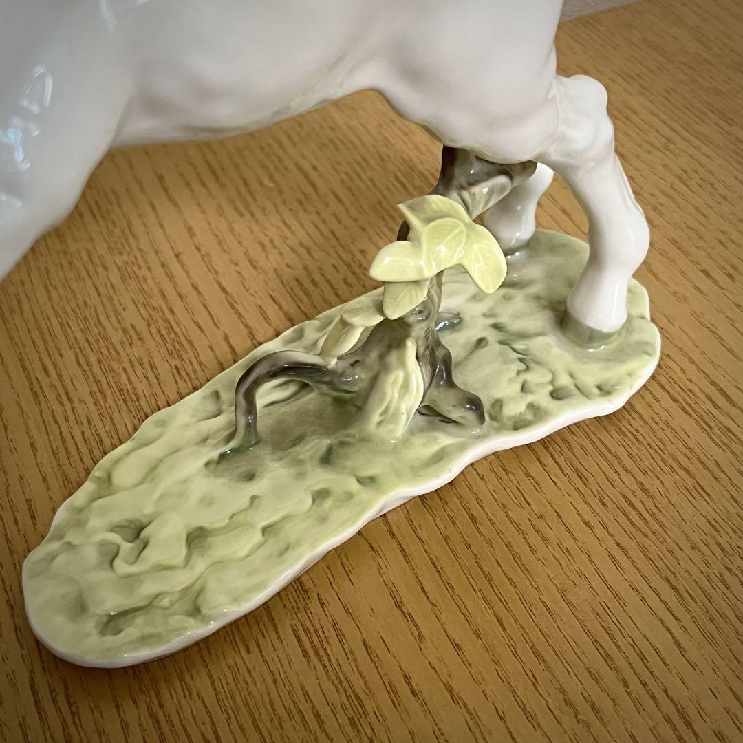 フッチェンロイター 白馬