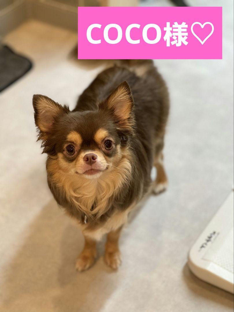 COCO様♡ありがとうございます♡おまとめ♡