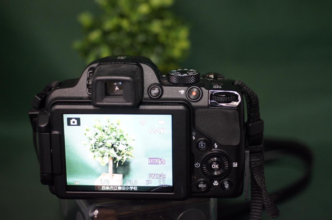 Kaiさまもお気に入り　NIKON　COOLPIX 　P520　良並品