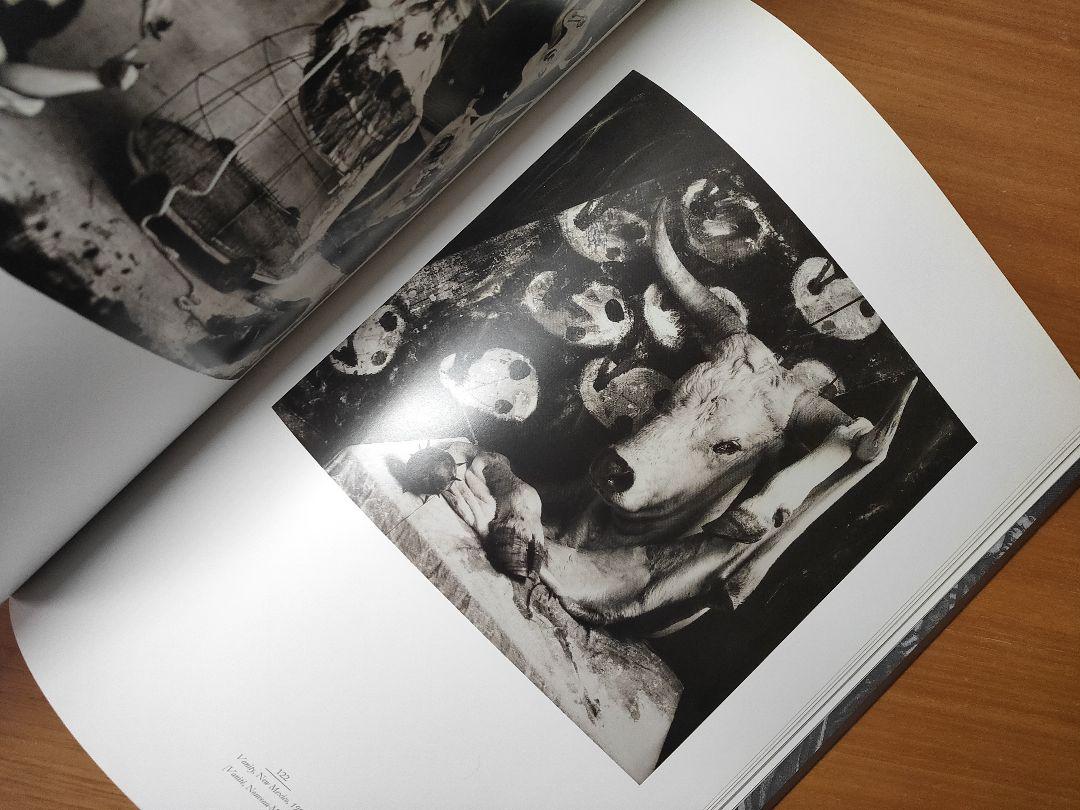 【コンビニ受取対応商品】 Joel-Peter Witkin: Heaven Or Hell ウィトキン アート・デザイン・音楽