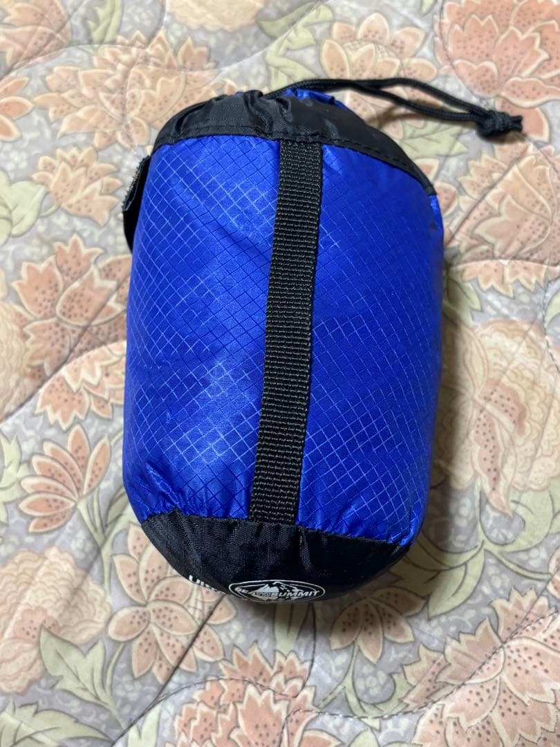 イントレピット