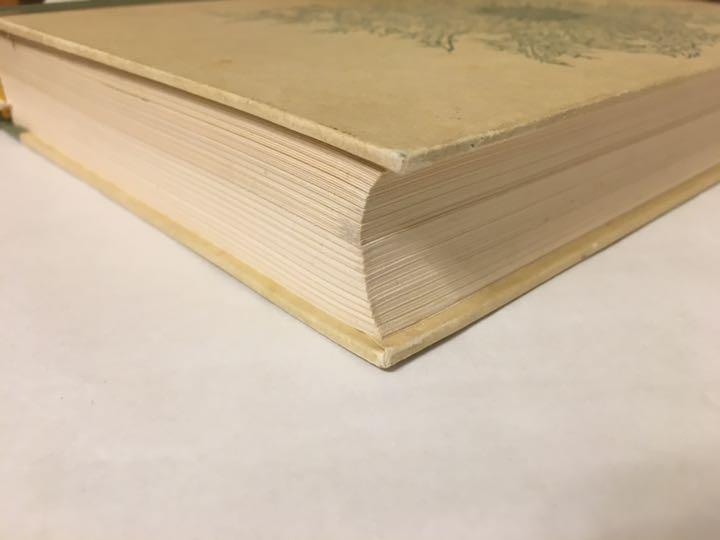 人気ショップ 1956年 Blumen-Fibel 【希少/美品】ドイツの植物図鑑 - 洋書 人気ショップ 1956年 Blumen-Fibel 【希少/美品】ドイツの植物図鑑 - 洋書