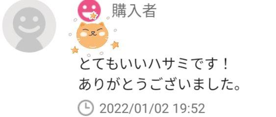 限定品安い 最新シザーセニングシザー切れ味抜群プロ用ハサミ美容師トリミングシザーペットシザー GYDRx-m24647578300 好評新作