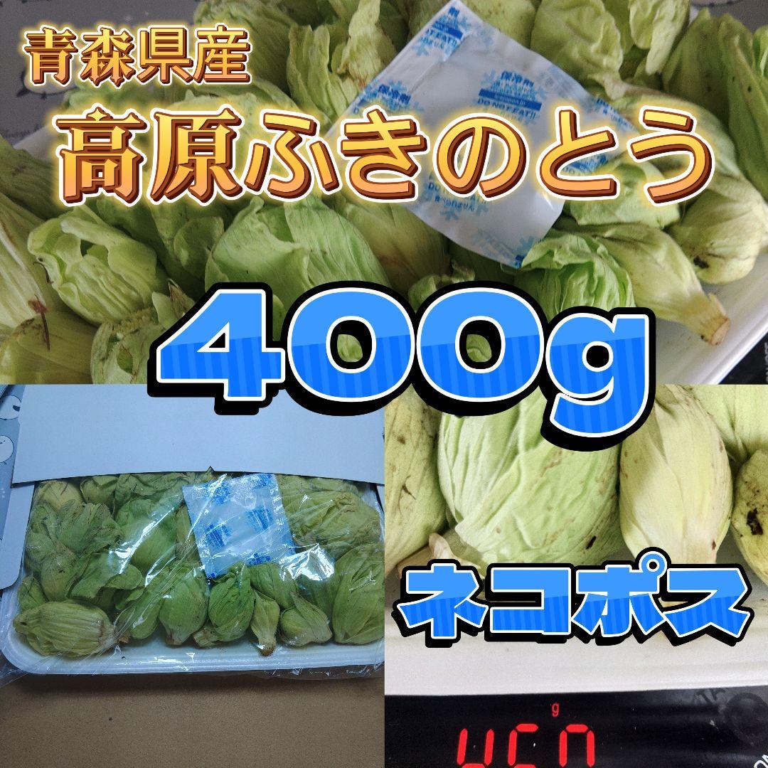 青森県産 高原ふきのとう400g