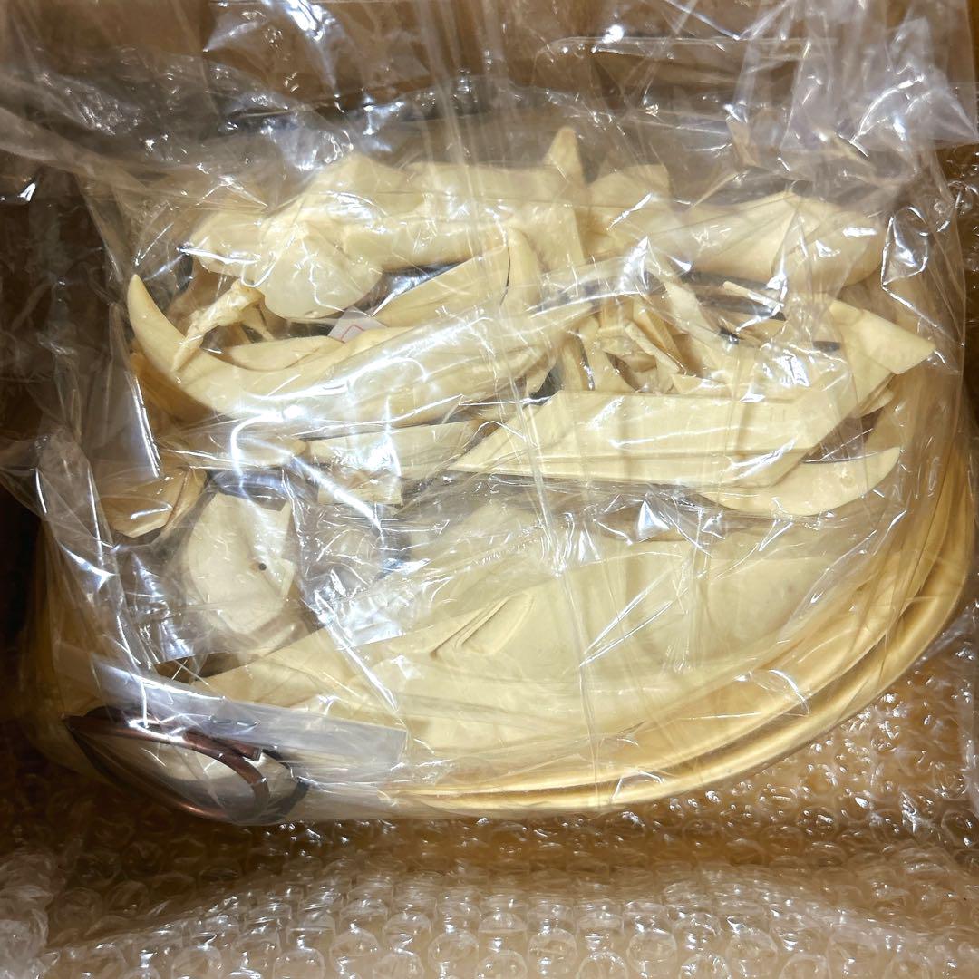 激レア FSS ファイブスター物語 AUGE 1/100 海洋堂 レジンキャスト 激レア FSS ファイブスター物語 AUGE 1/100 海洋堂 レジン