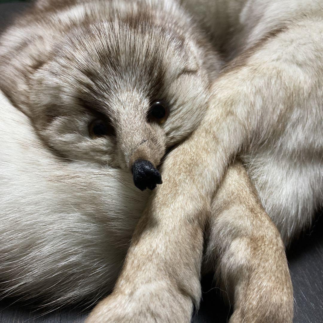 N-3【新品】特大 【ふっくら】ブルー FOX ファー　マフラー　顔付きマフラー