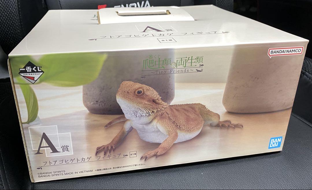 爬虫類&両生類 一番くじ ラストワン A賞