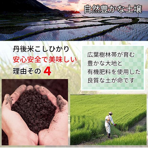 a1【新米／最高品質】玄米／精米／安心安全／お米／コシヒカリ／安い／20キロ
