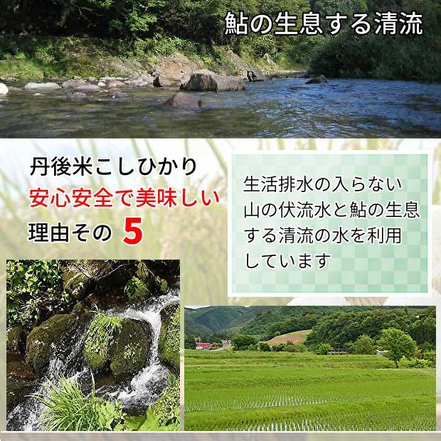 a1【新米／最高品質】玄米／精米／安心安全／お米／コシヒカリ／安い／20キロ