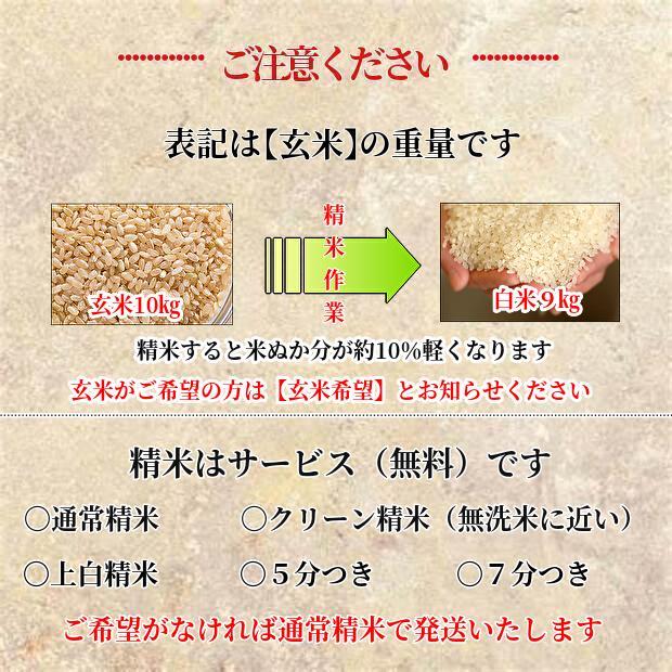 a1【新米／最高品質】玄米／精米／安心安全／お米／コシヒカリ／安い／20キロ