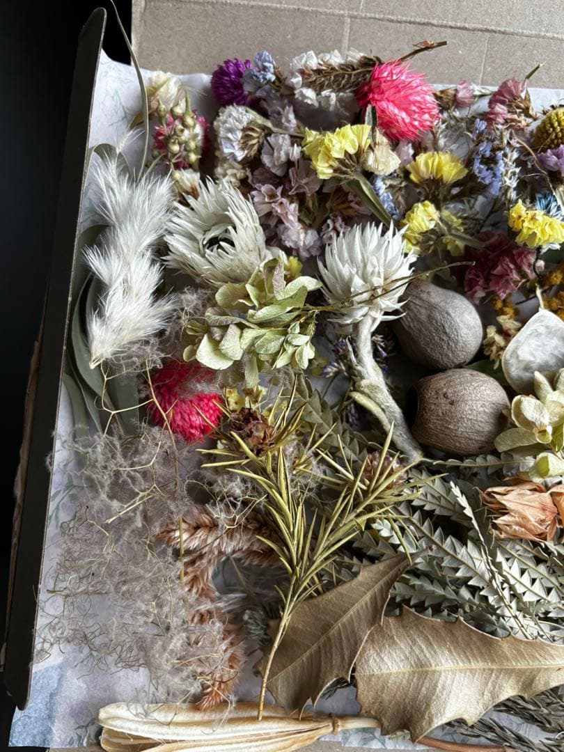 ドライフラワー