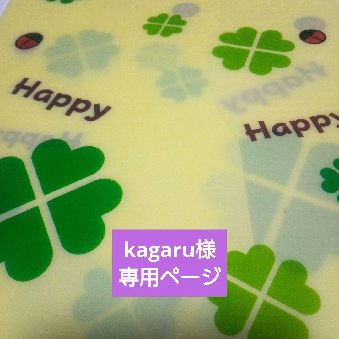 kagaru様　専用ページブックカバー