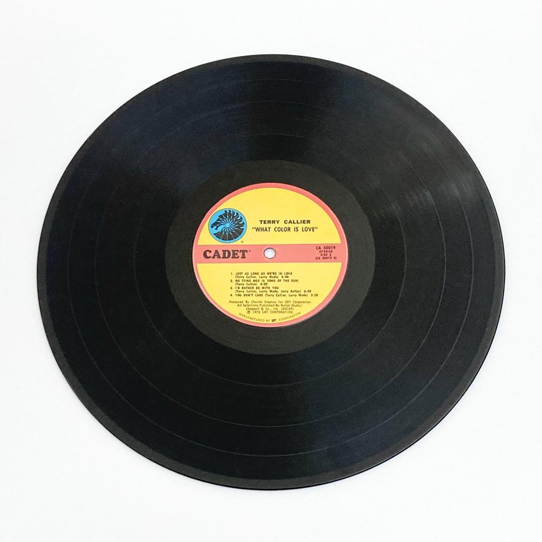 USオリジLP Terry Callier What Color Is Love
