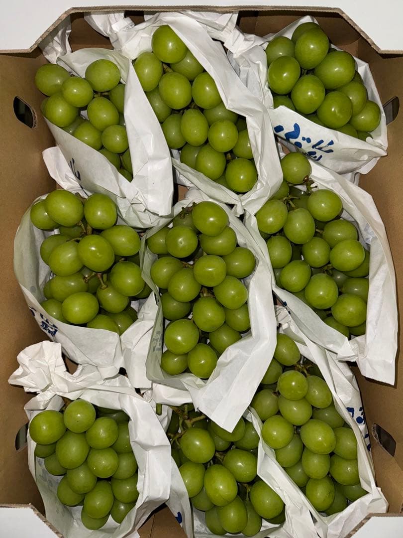 山梨県産ぶどう⭐️シャインマスカット⭐️家庭用訳あり品⭐️9房入り箱込み約5.2キロ 山梨県産ぶどう⭐️シャインマスカット⭐️家庭用訳あり品⭐️9房入り箱込み約5.2キロ