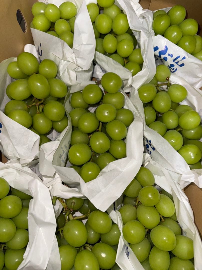 山梨県産ぶどう⭐️シャインマスカット⭐️家庭用訳あり品⭐️9房入り箱込み約5.2キロ 山梨県産ぶどう⭐️シャインマスカット⭐️家庭用訳あり品⭐️9房入り箱込み約5.2キロ