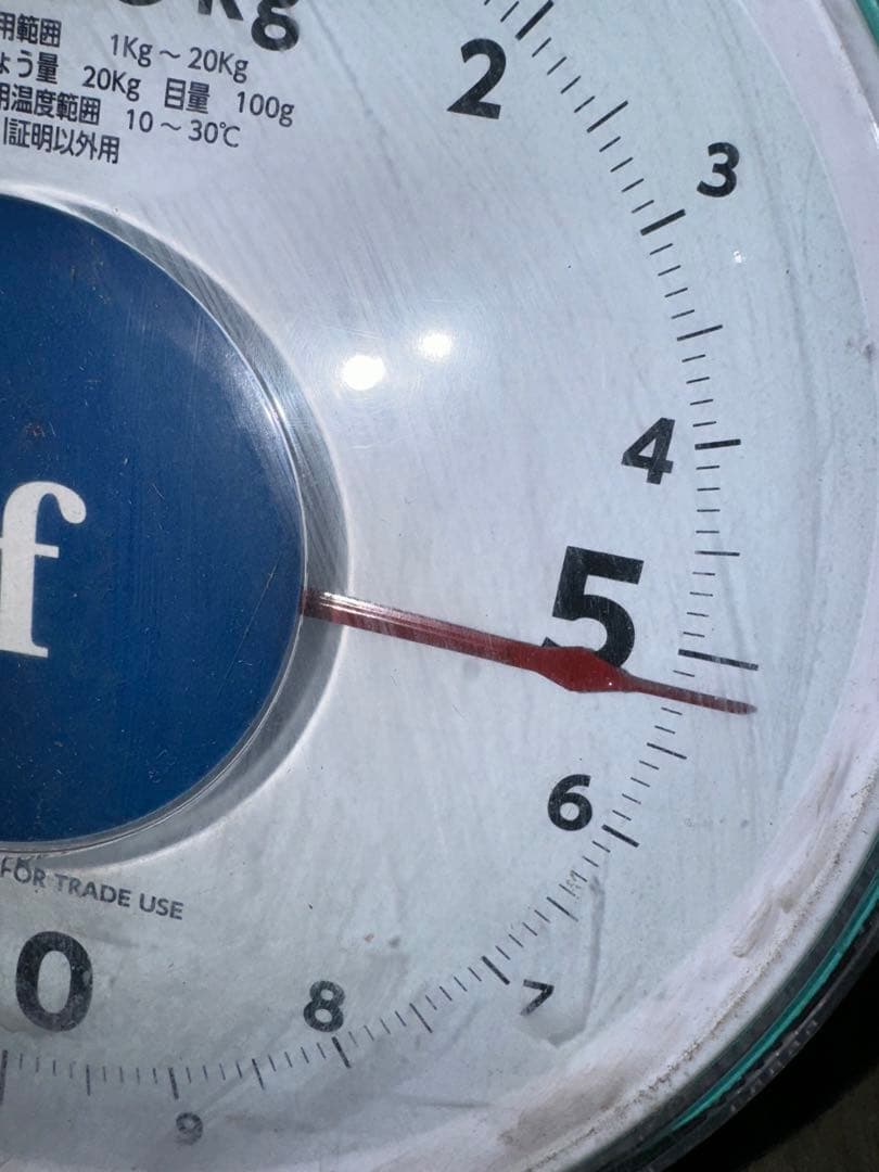 山梨県産ぶどう⭐️シャインマスカット⭐️家庭用訳あり品⭐️9房入り箱込み約5.2キロ 山梨県産ぶどう⭐️シャインマスカット⭐️家庭用訳あり品⭐️9房入り箱込み約5.2キロ