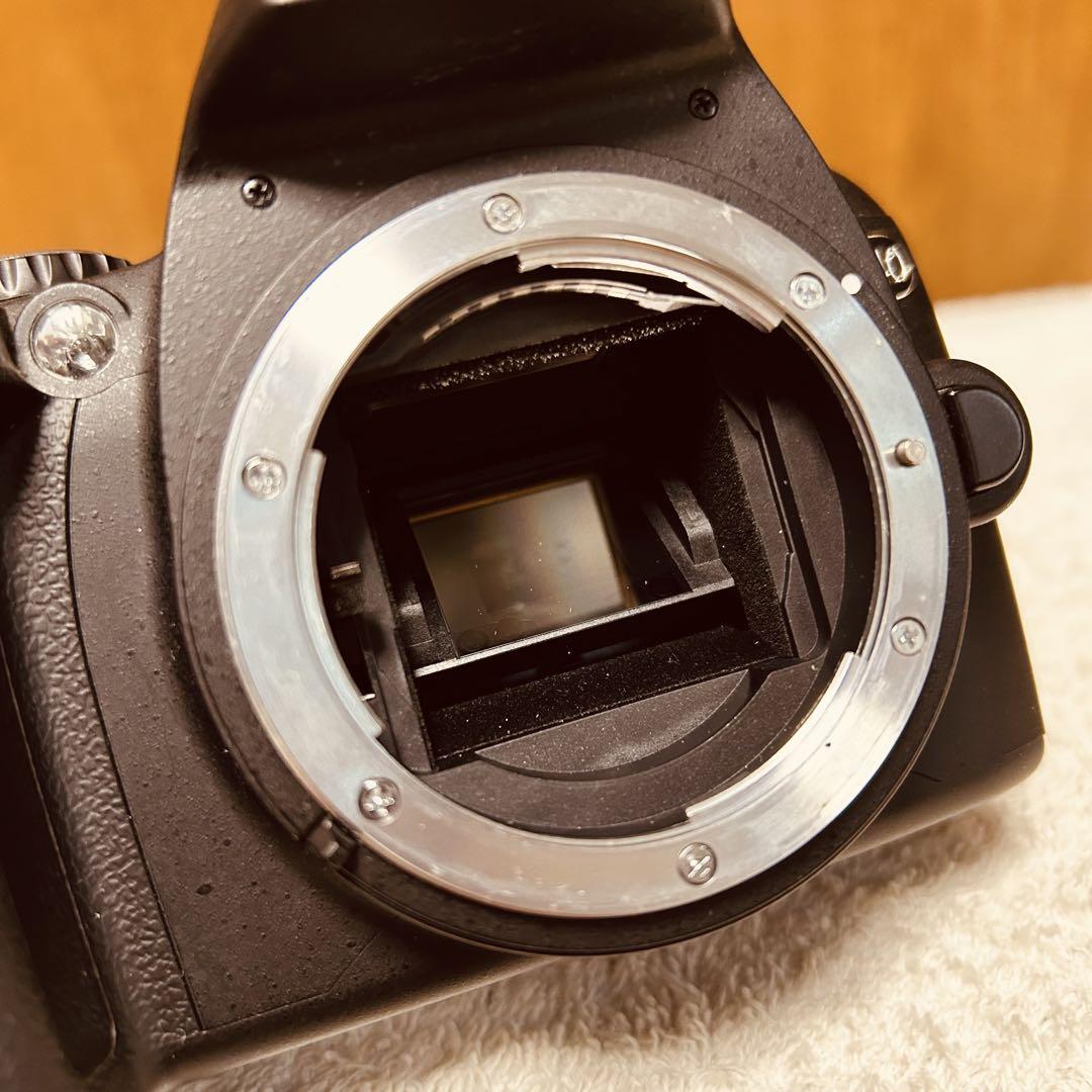 未使用級 ショット数 729枚 Nikon D40 ニコンデジタル一眼レフカメラ 未使用級 ショット数 729枚 Nikon D40 ニコンデジタル一眼レフ