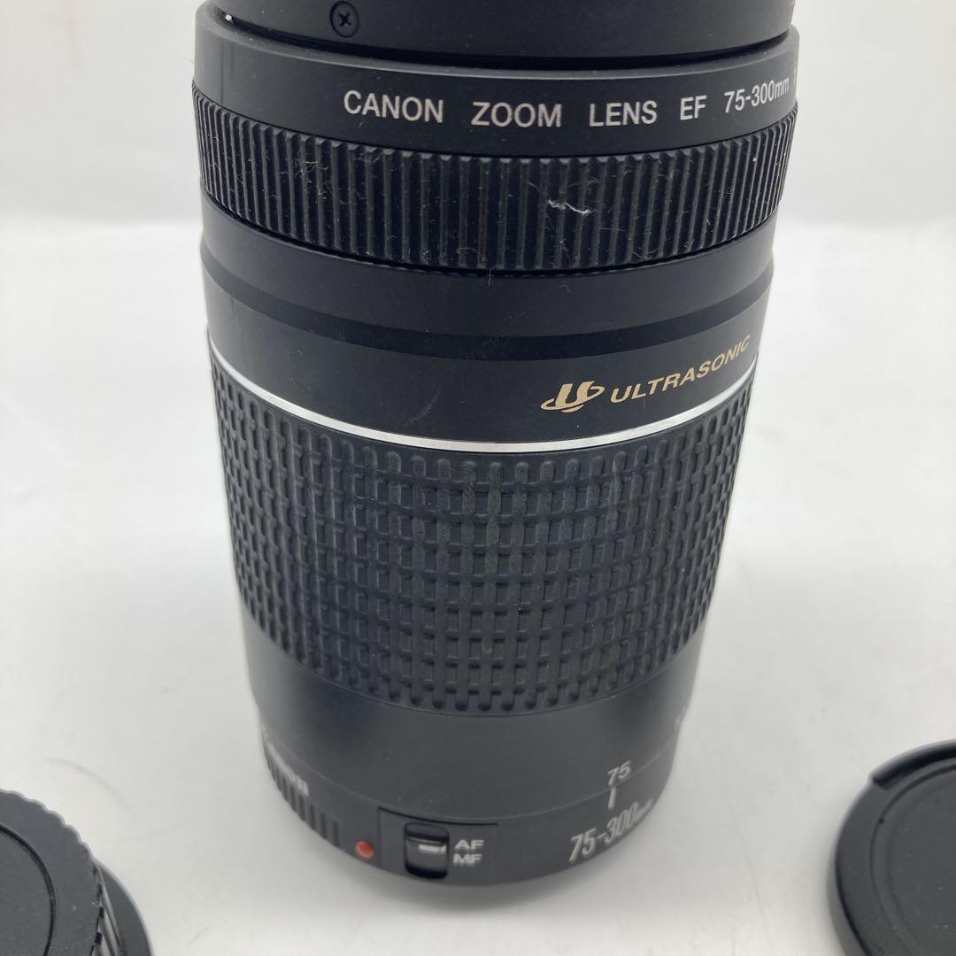 Canon EF 75-300mm ズームレンズ