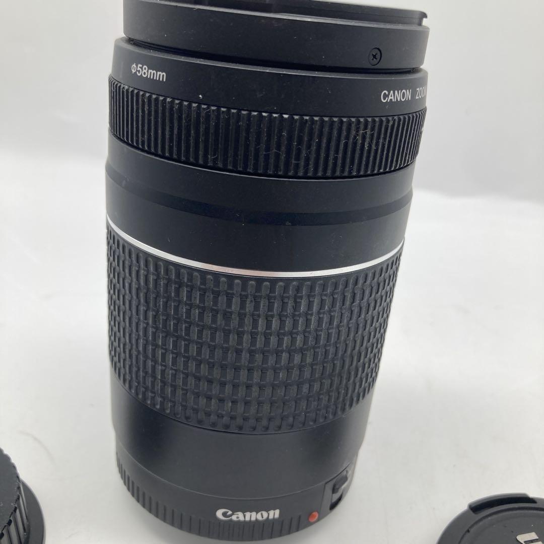 Canon EF 75-300mm ズームレンズ
