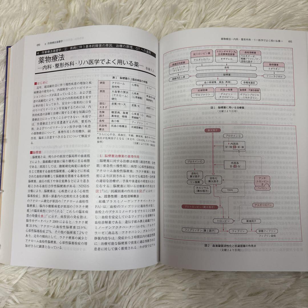 図解 作業療法技術ガイド