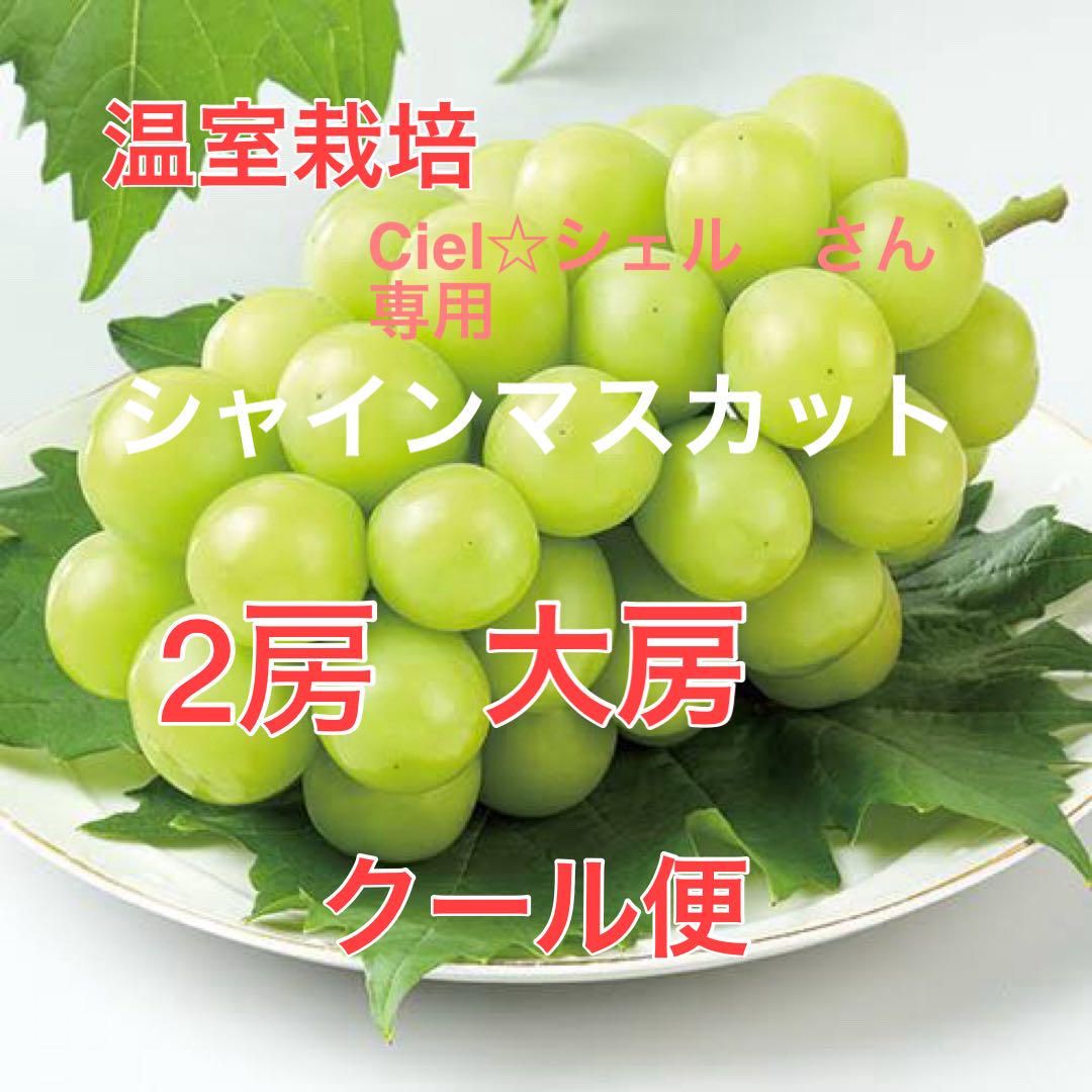 山梨産直　温室シャインマスカット2房