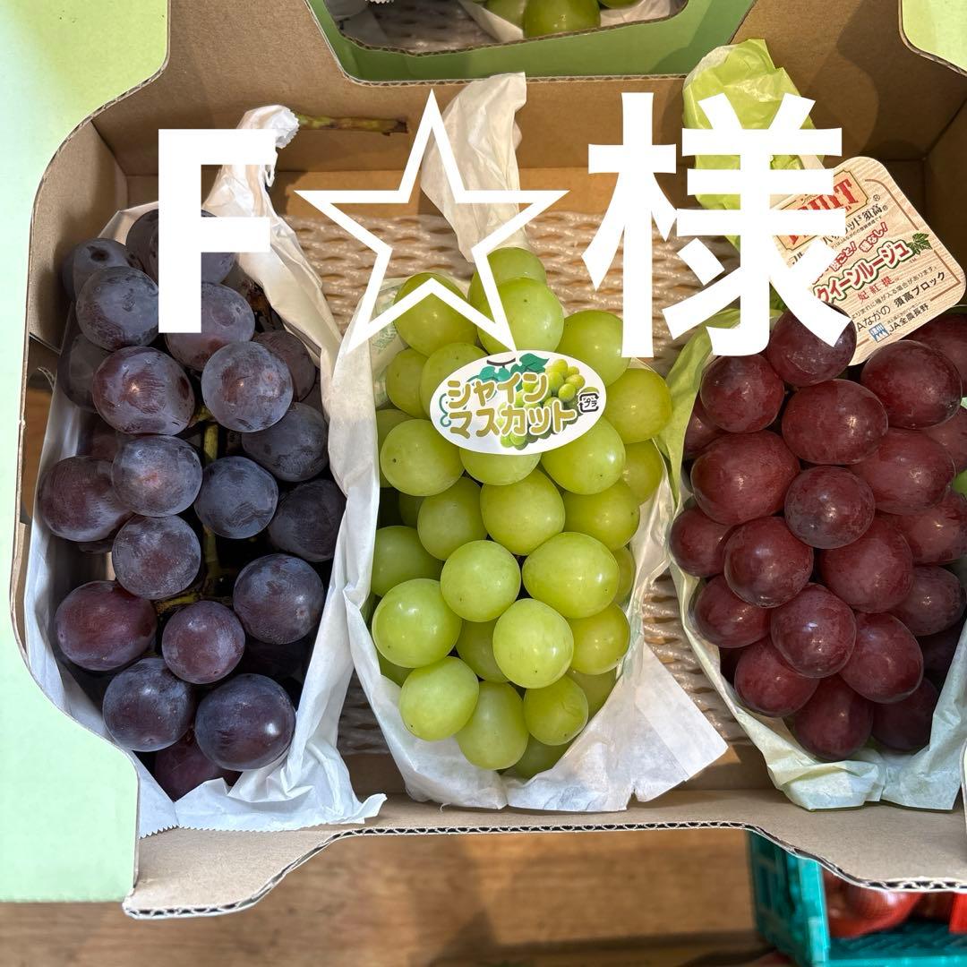 F⭐︎様ホロタン1kg