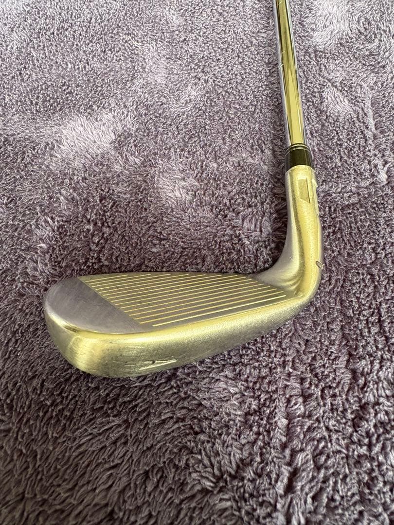 Stealth iron ステルスアイアン AW&SW DG120 S200