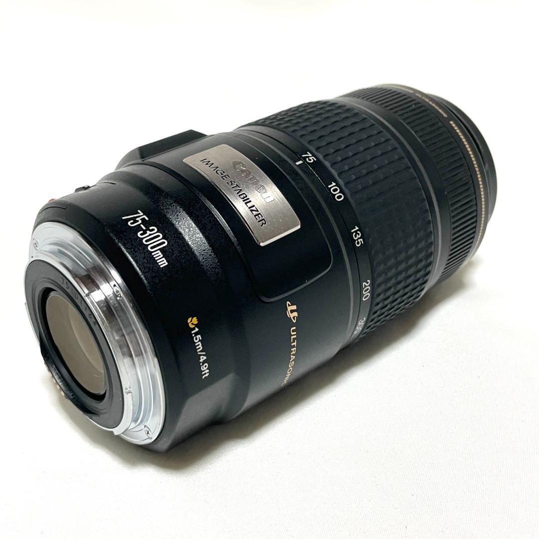 人気モデル❣️ Canon EF 75-300mm IS USM 高速AF 人気モデル❣️ Canon EF 75-300mm IS USM 高速AF