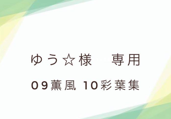 日本限定 アイシャドウ-ゆう☆様専用 09 薫風 10彩葉集 - www
