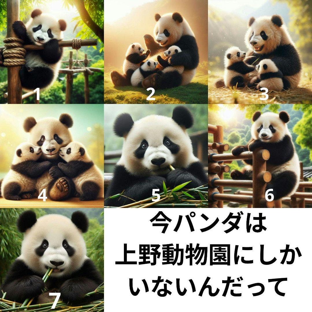 商品オーダー用　パンダパネル　17cm25cm　パネル生地