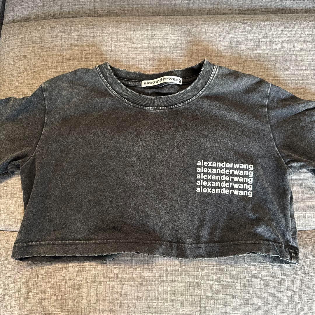Alexander wang tシャツその他
