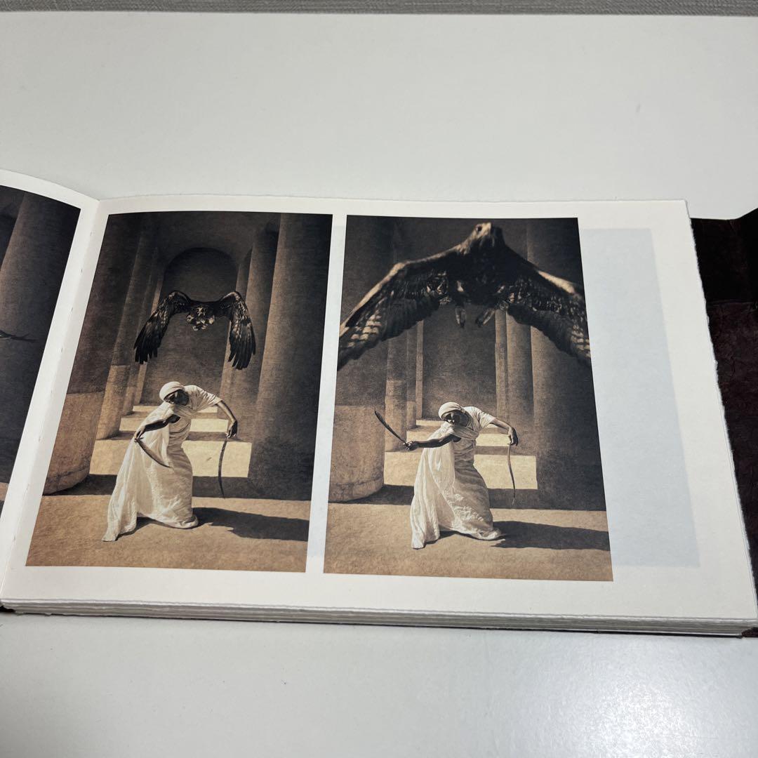 【美品】グレゴリーコルベール　 ashes and snow 写真集　像
